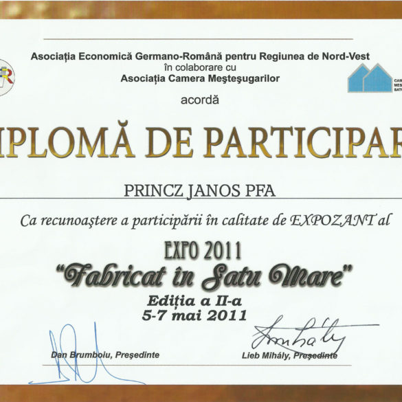 expo fabricat in satu mare_00000